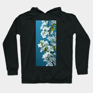 Soft white flowers against aquamarine sky sets a peaceful and romantic mood Hoodie